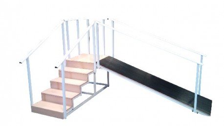 Diresa Device - FedBuy: Escalera con plano inclinado. 5 peldaños.