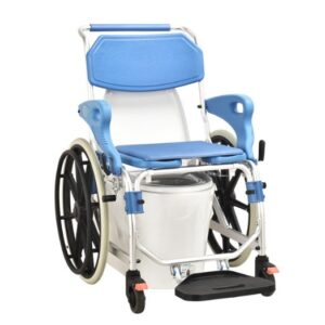 silla baño y wc en taza