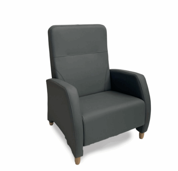 Sillón Sena Bariátrico
