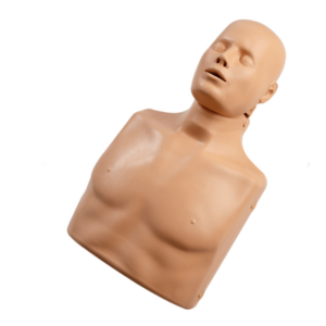 Torso de reanimación Cardiopulmonar